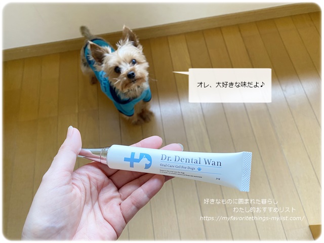 杉本 彩 犬 歯磨き粉15